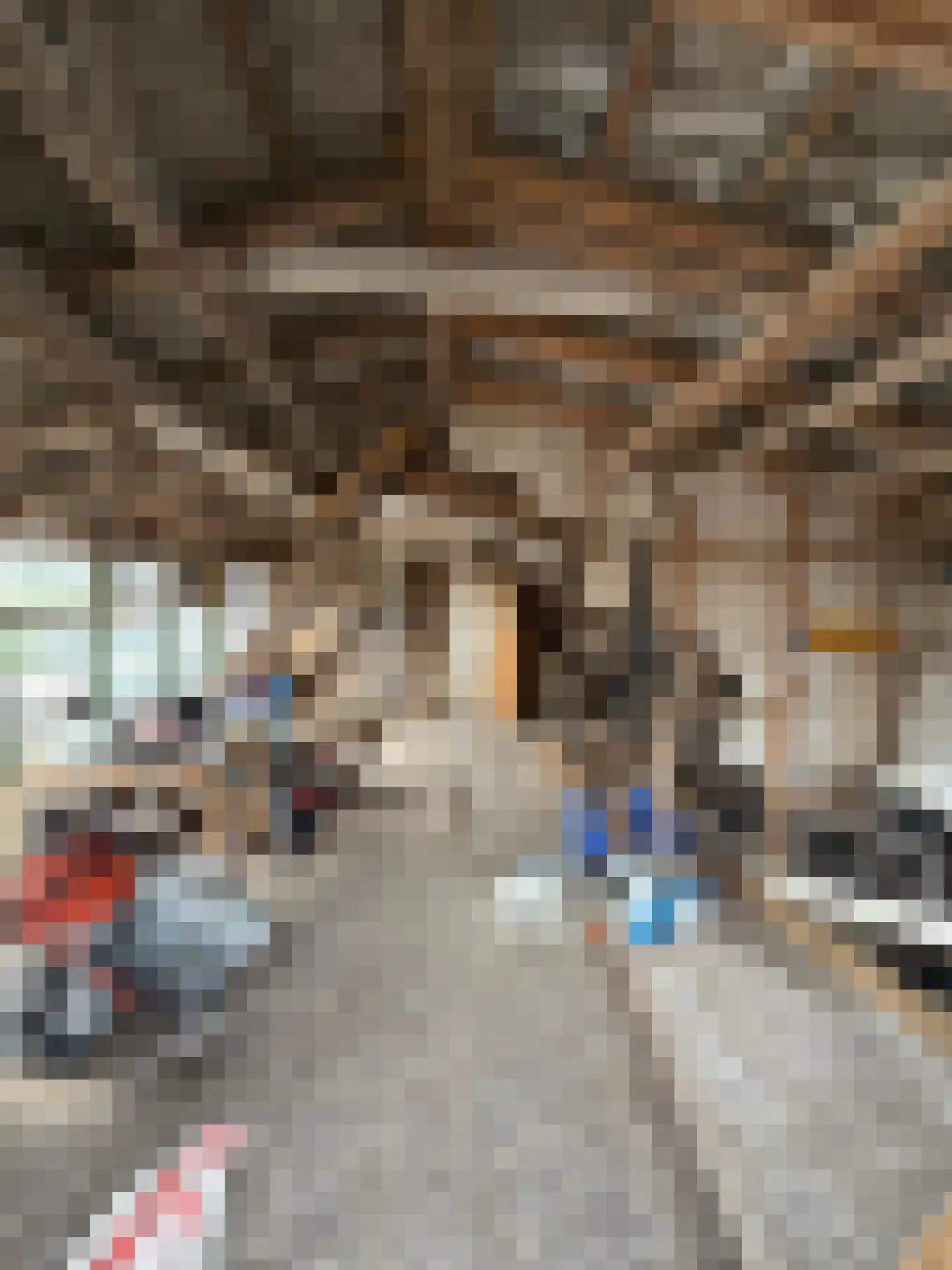 Halsterseweg 60 Halsteren thumbnail 59