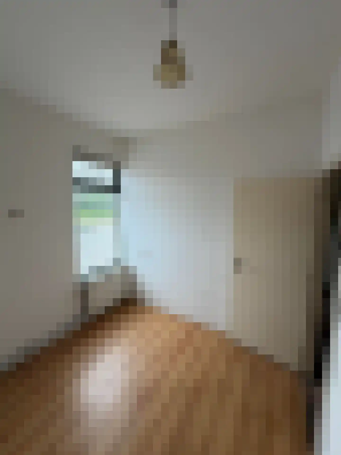 Halsterseweg 60 Halsteren thumbnail 7