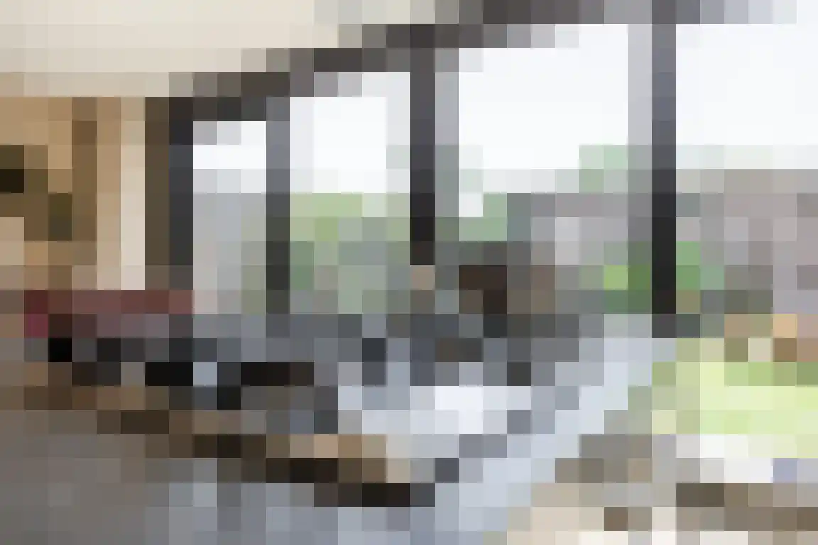 Halsterseweg 68 Halsteren thumbnail 15
