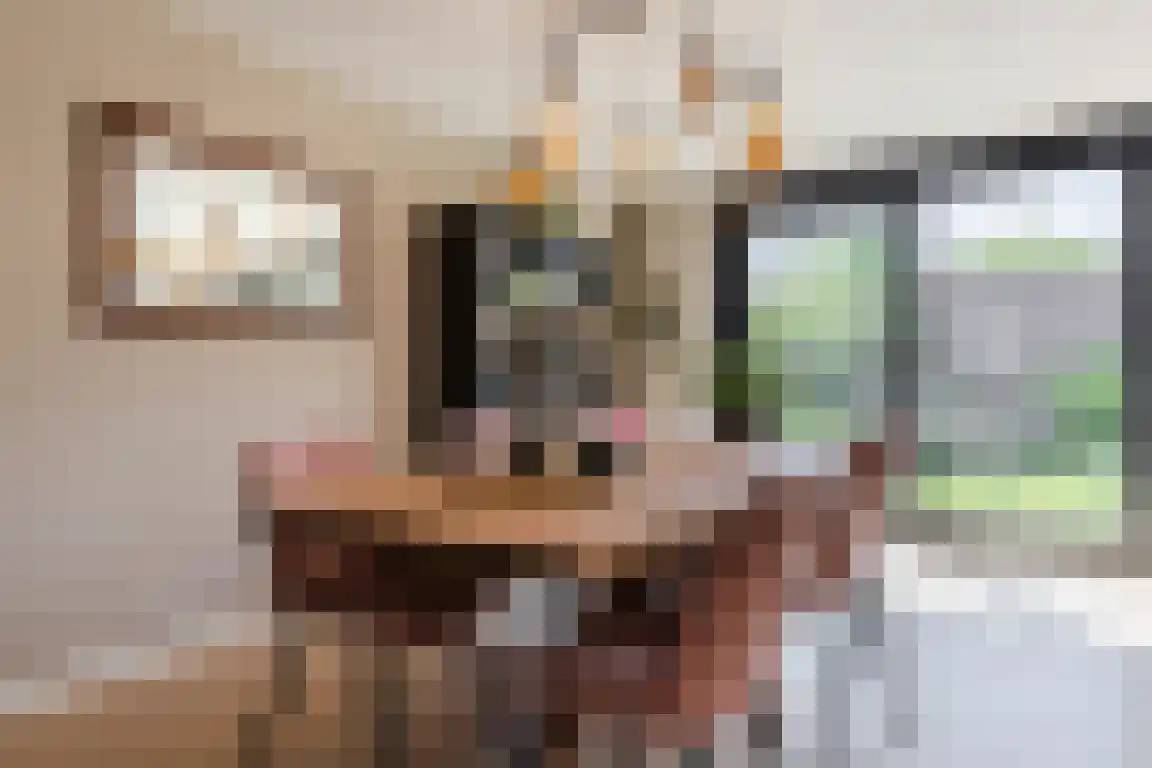 Halsterseweg 68 Halsteren thumbnail 8