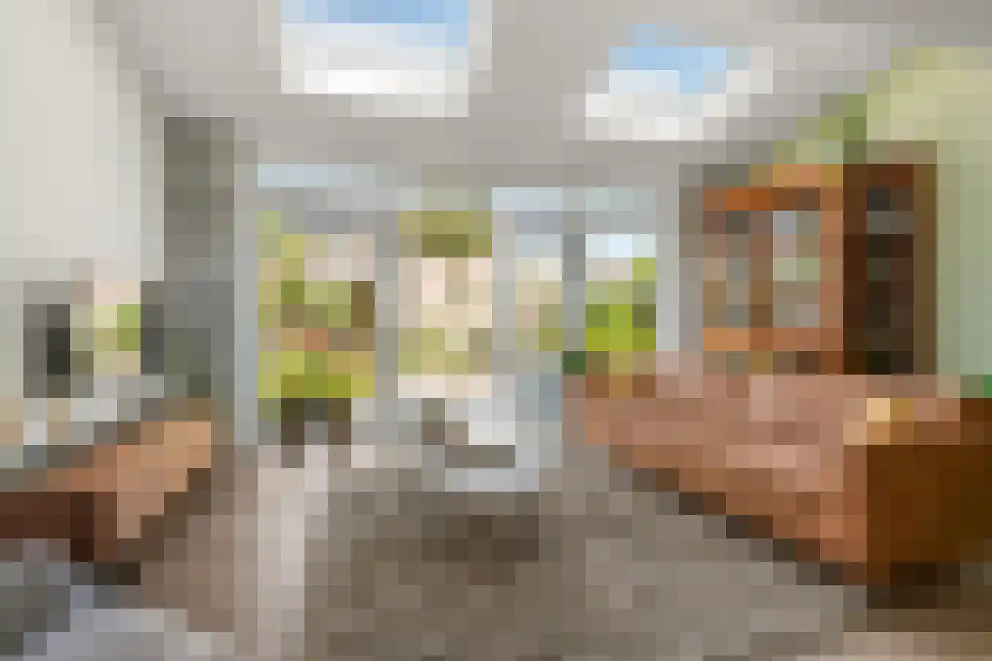 Halsterveld 1 Houten thumbnail 10