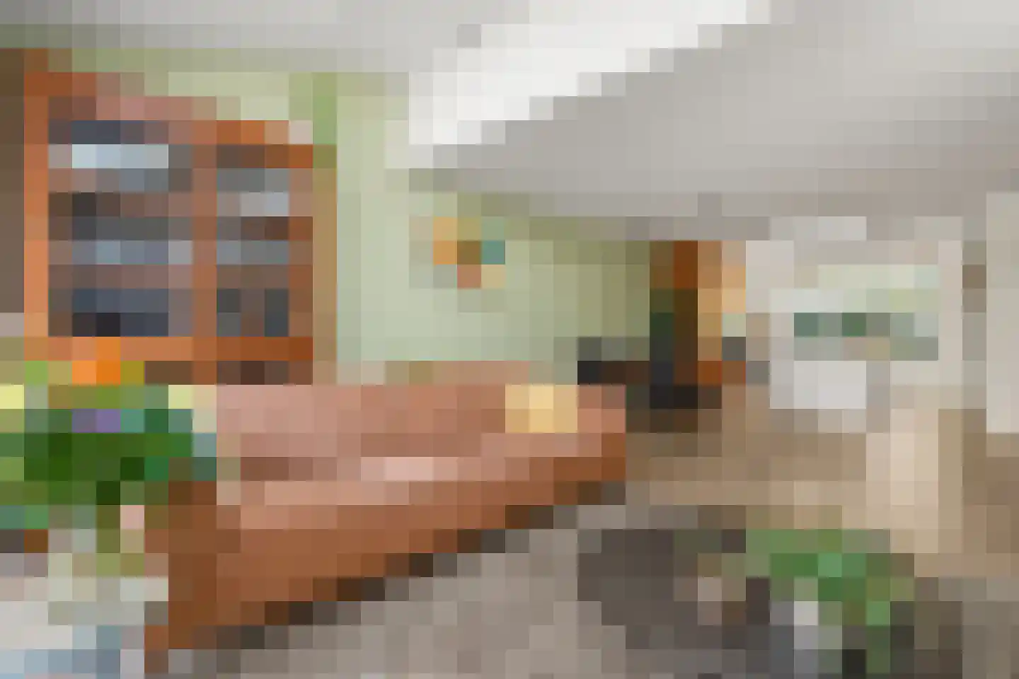 Halsterveld 1 Houten thumbnail 11