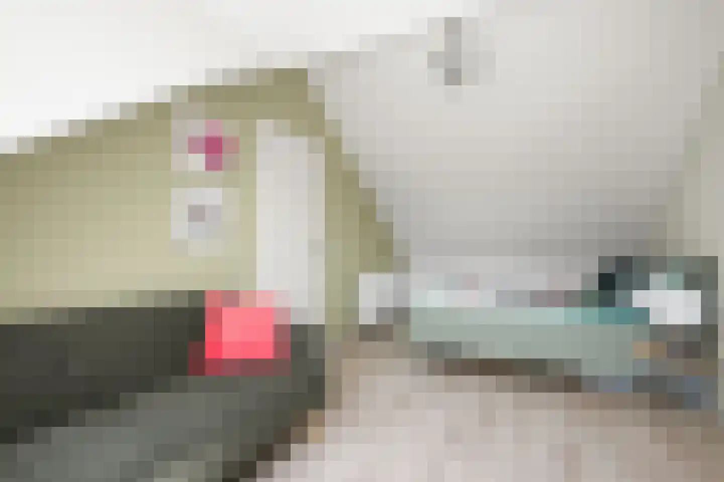 Halsterveld 1 Houten thumbnail 22