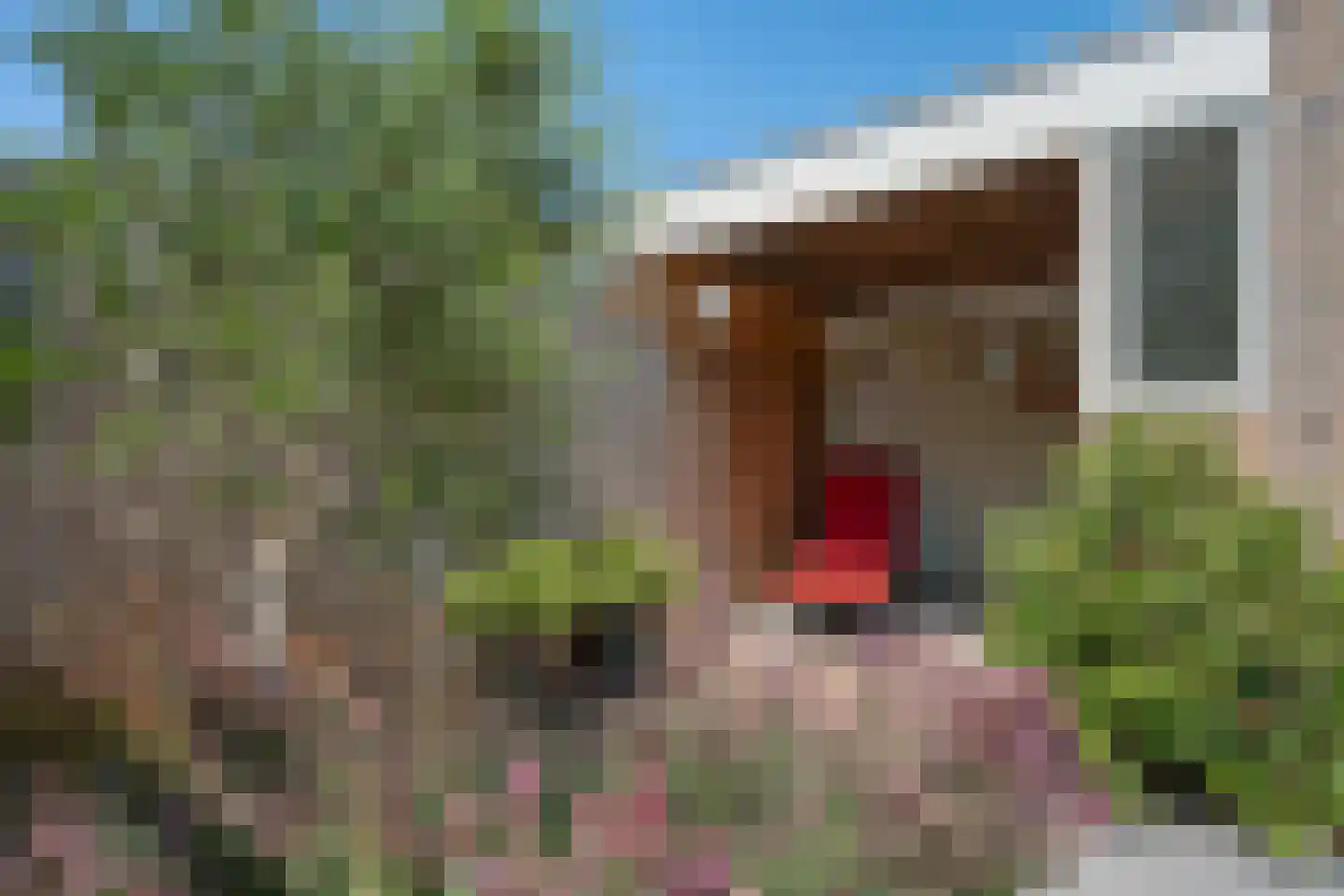 Halsterveld 1 Houten thumbnail 28