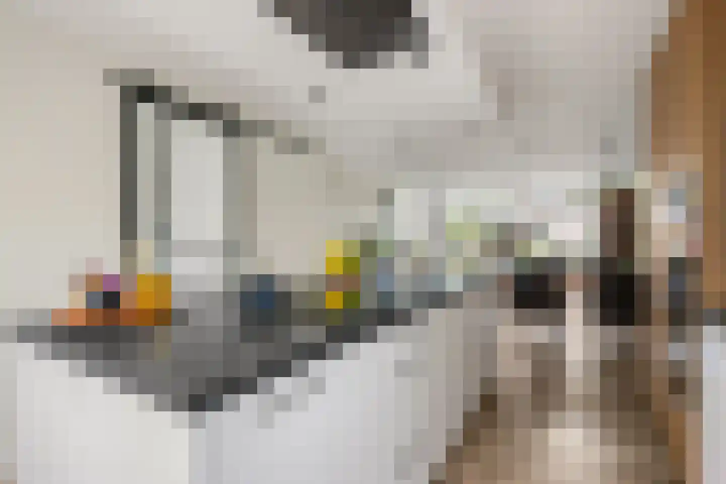 Halsterveld 1 Houten thumbnail 5