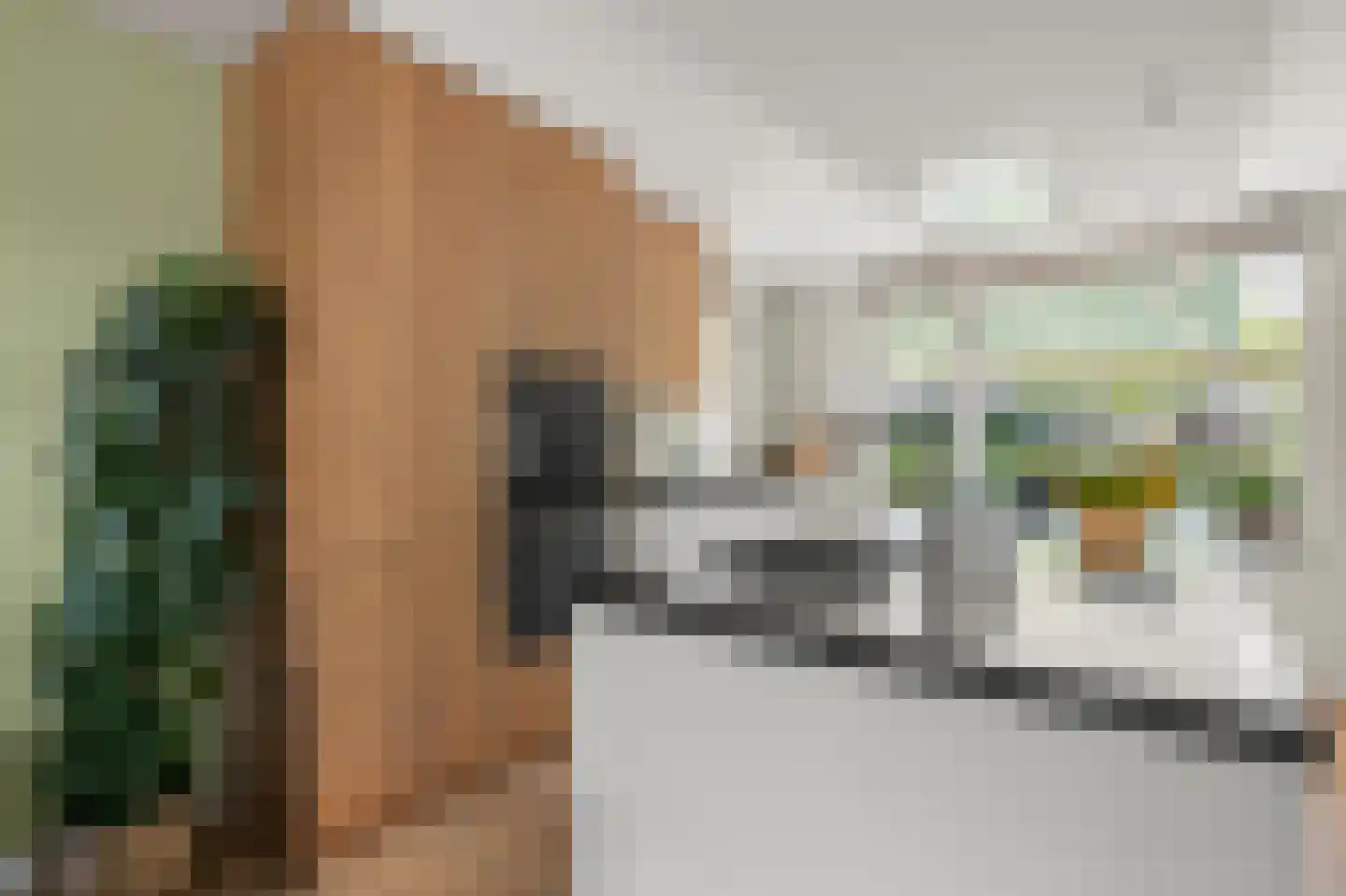 Halsterveld 1 Houten thumbnail 6