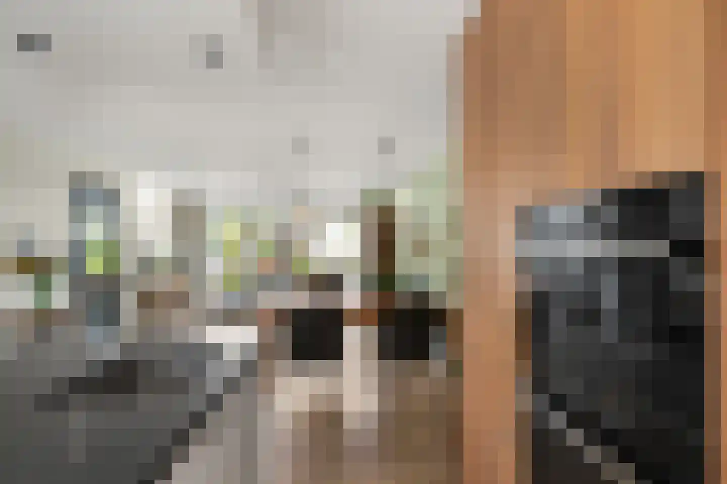 Halsterveld 1 Houten thumbnail 7