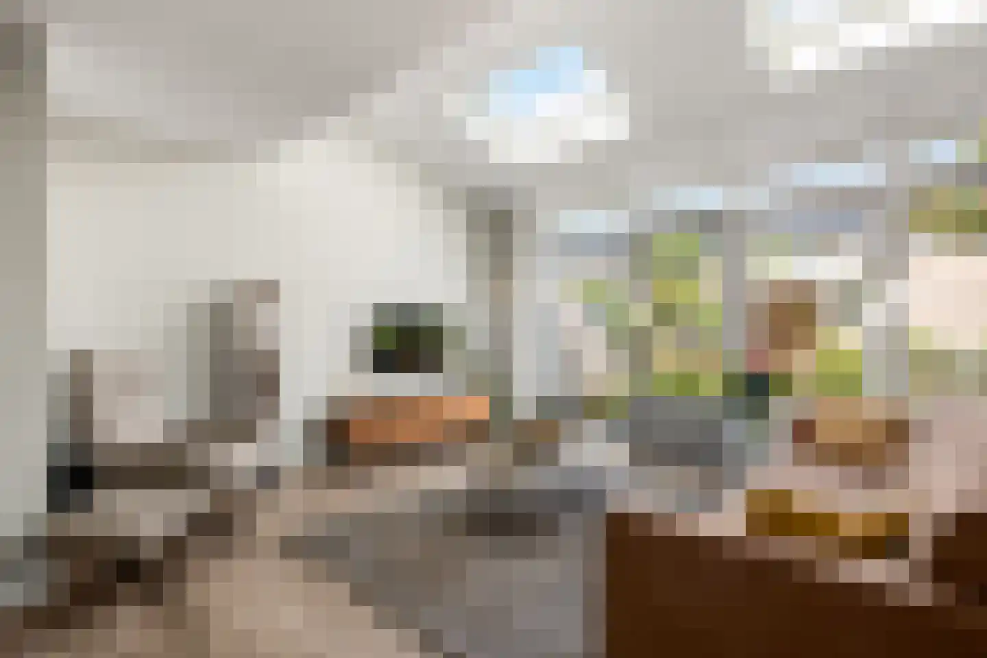 Halsterveld 1 Houten thumbnail 9