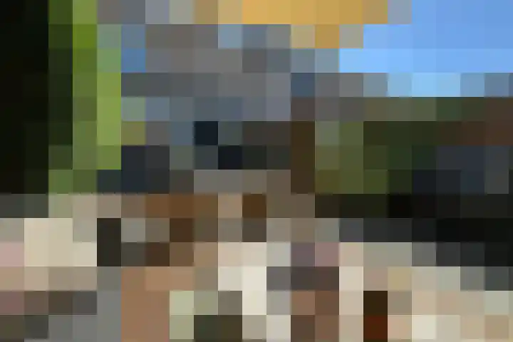 Halsterveld 21 Houten thumbnail 11