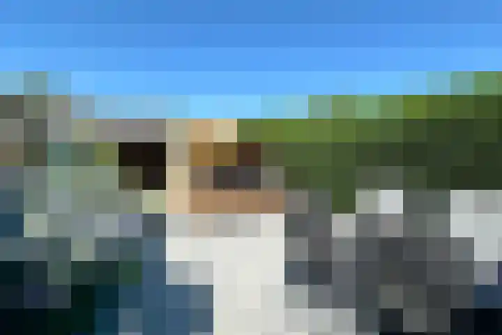 Halsterveld 21 Houten thumbnail 12