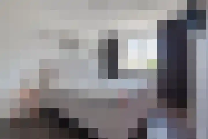 Halsterveld 21 Houten thumbnail 13