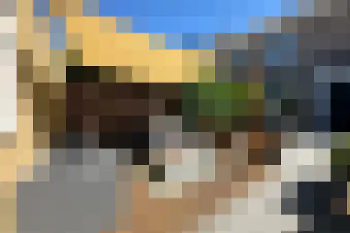 Halsterveld 21 Houten thumbnail 24