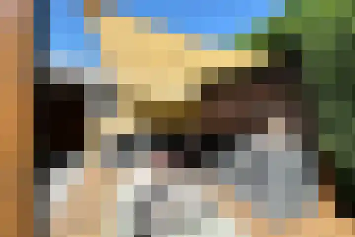 Halsterveld 21 Houten thumbnail 25