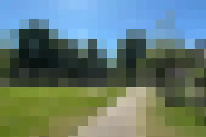 Halsterveld 21 Houten thumbnail 28