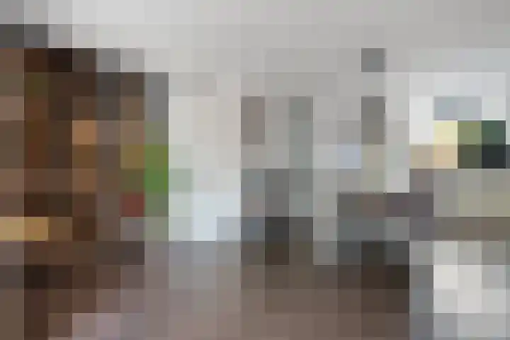Halsterveld 21 Houten thumbnail 6