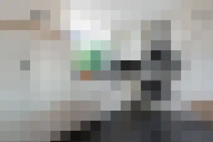Halsterveld 21 Houten thumbnail 8