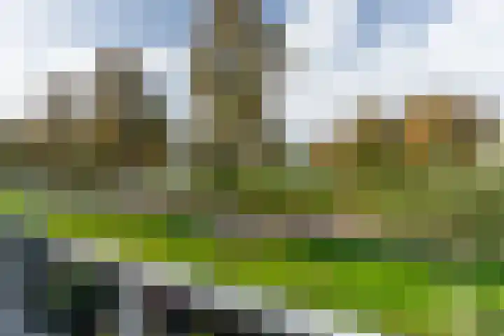 Halsterweide 39 Nieuwegein thumbnail 26
