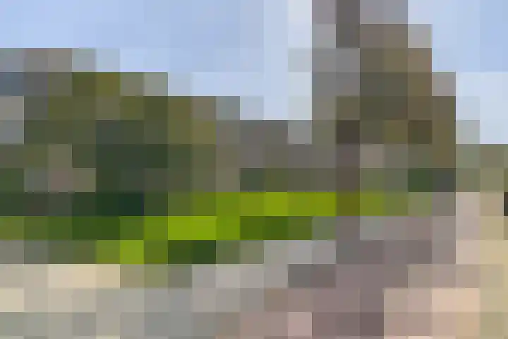 Halsterweide 39 Nieuwegein thumbnail 38