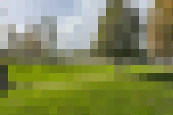 Halsterweide 39 Nieuwegein thumbnail 39