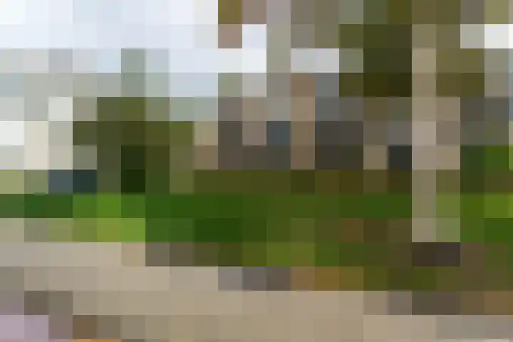 Halsterweide 39 Nieuwegein thumbnail 6