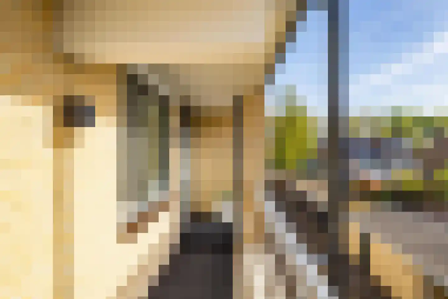 Halsterweide 45 Nieuwegein thumbnail 30