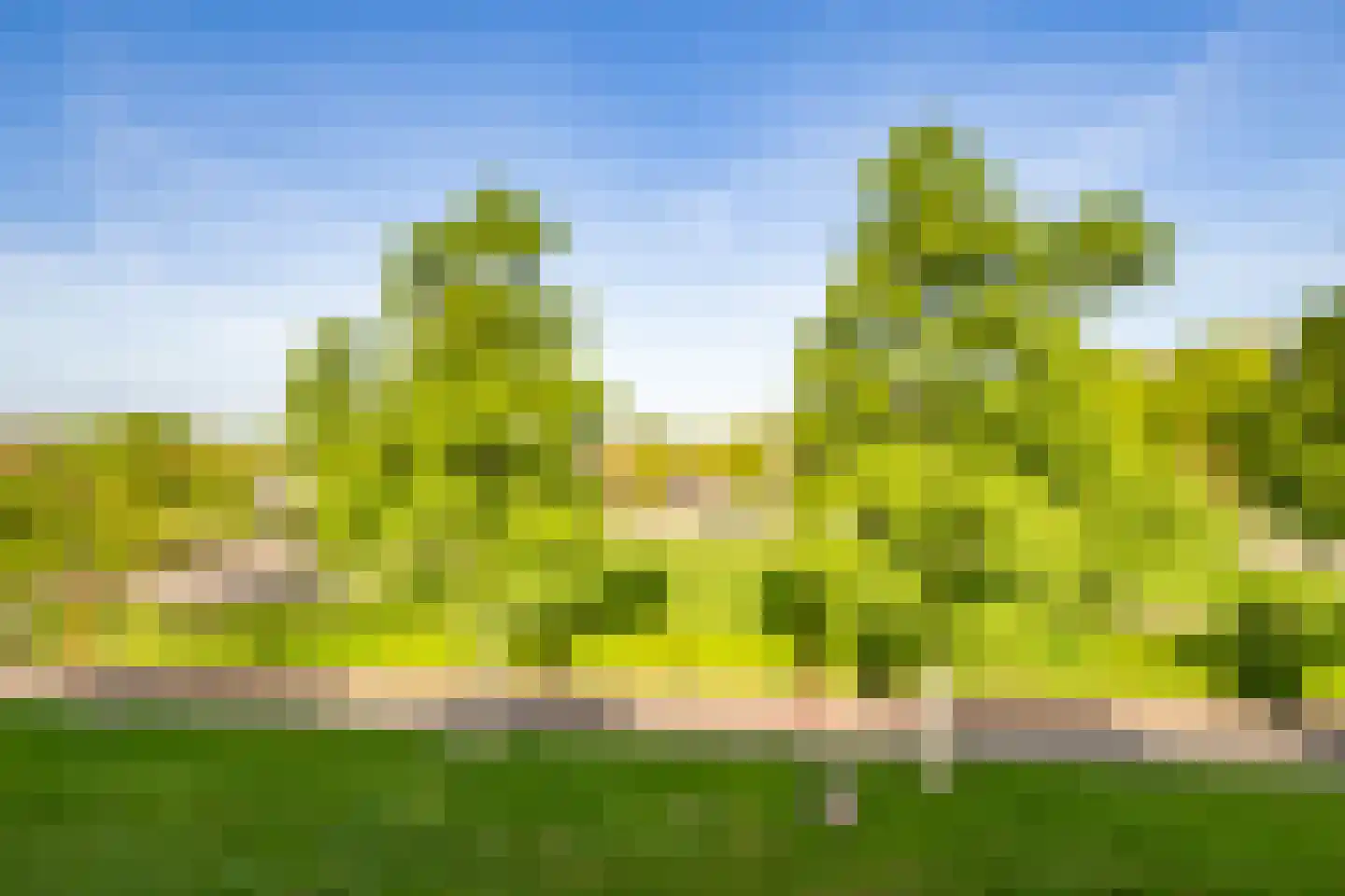 Halsterweide 45 Nieuwegein thumbnail 38