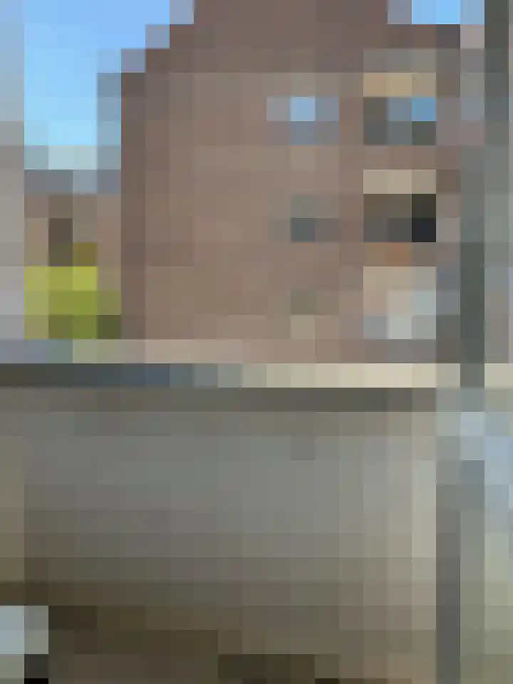 Halstraat 12 B Rotterdam thumbnail 15