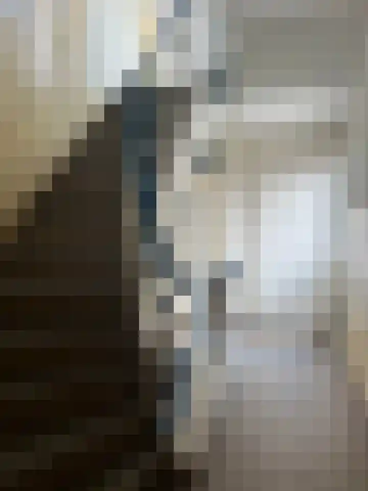 Halstraat 12 B Rotterdam thumbnail 17
