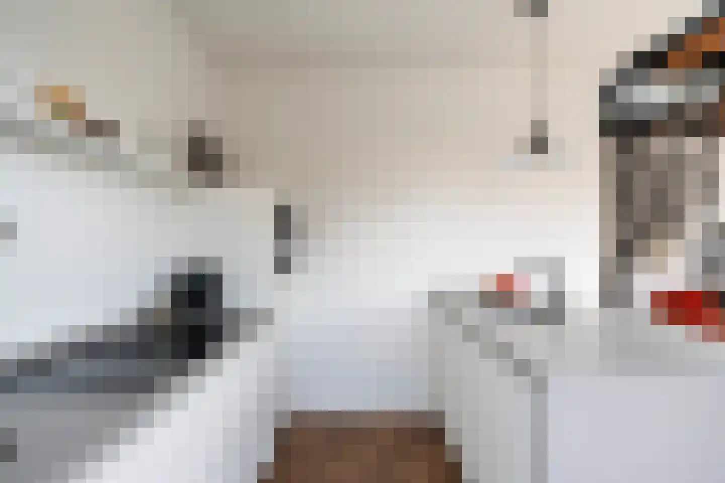 Halstraat 12 D Rotterdam thumbnail 19