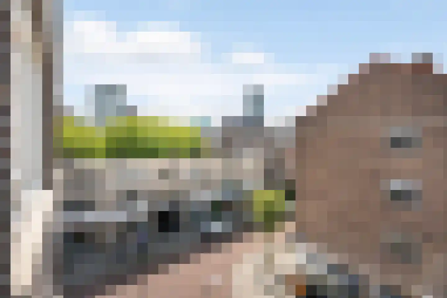 Halstraat 12 D Rotterdam thumbnail 29
