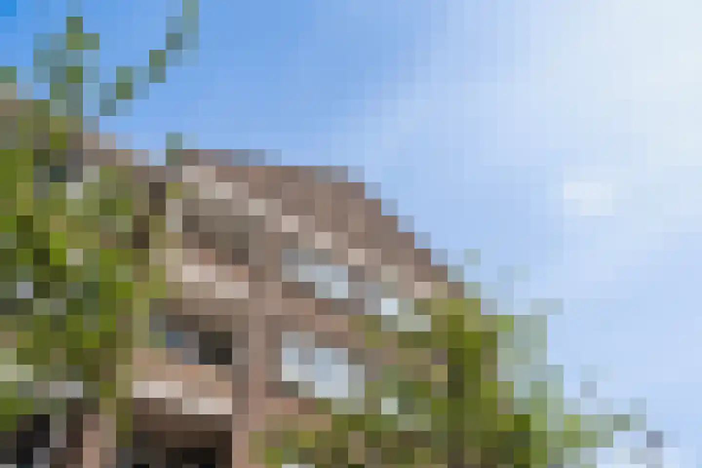 Halstraat 12 D Rotterdam thumbnail 6