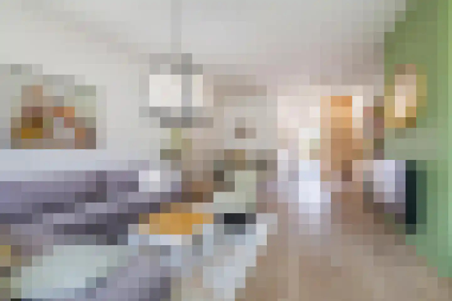 Halstraat 21 Breda thumbnail 21