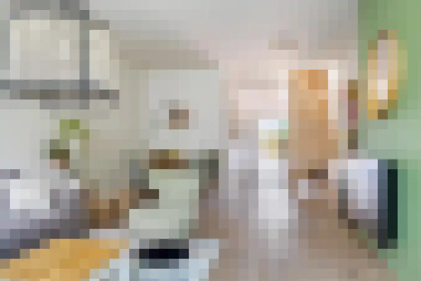 Halstraat 21 Breda thumbnail 22