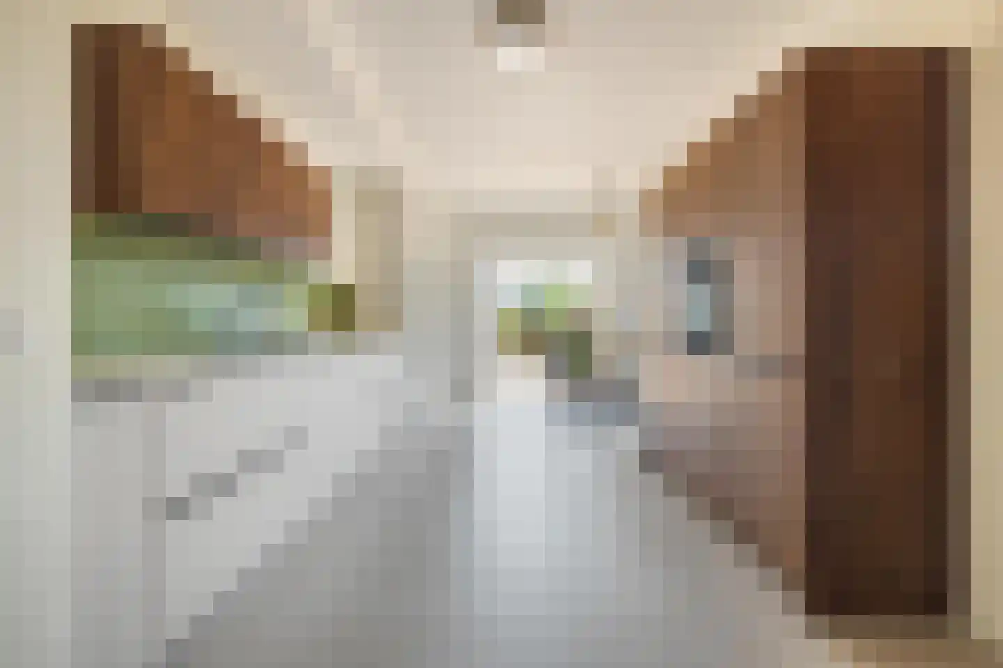 Halstraat 21 Breda thumbnail 26