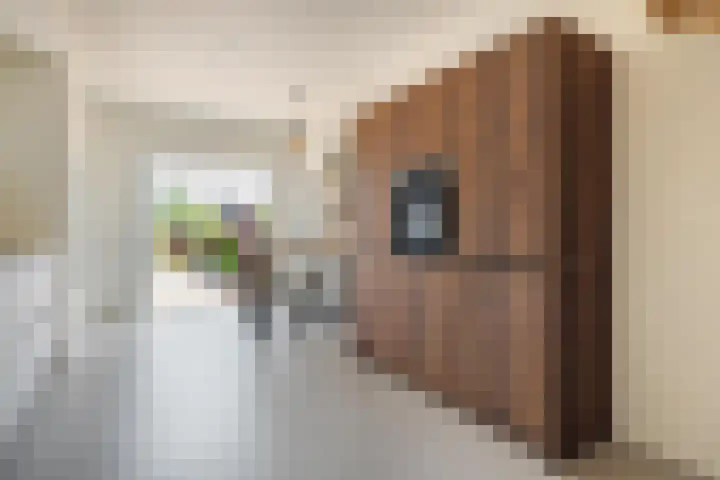 Halstraat 21 Breda thumbnail 30