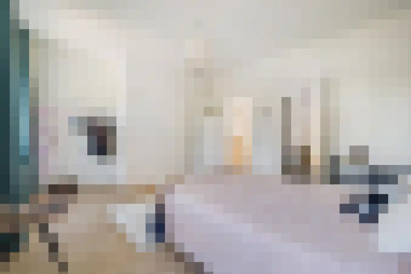 Halstraat 21 Breda thumbnail 44