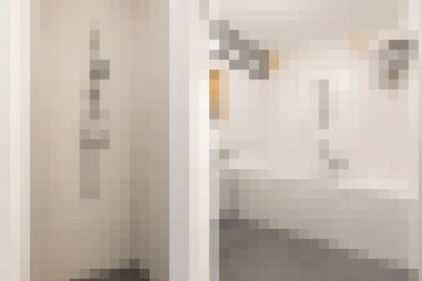 Halstraat 44 Apeldoorn thumbnail 18