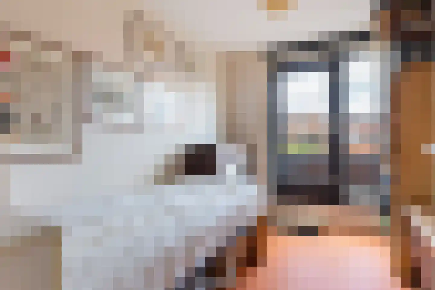Halstraat 44 Apeldoorn thumbnail 21