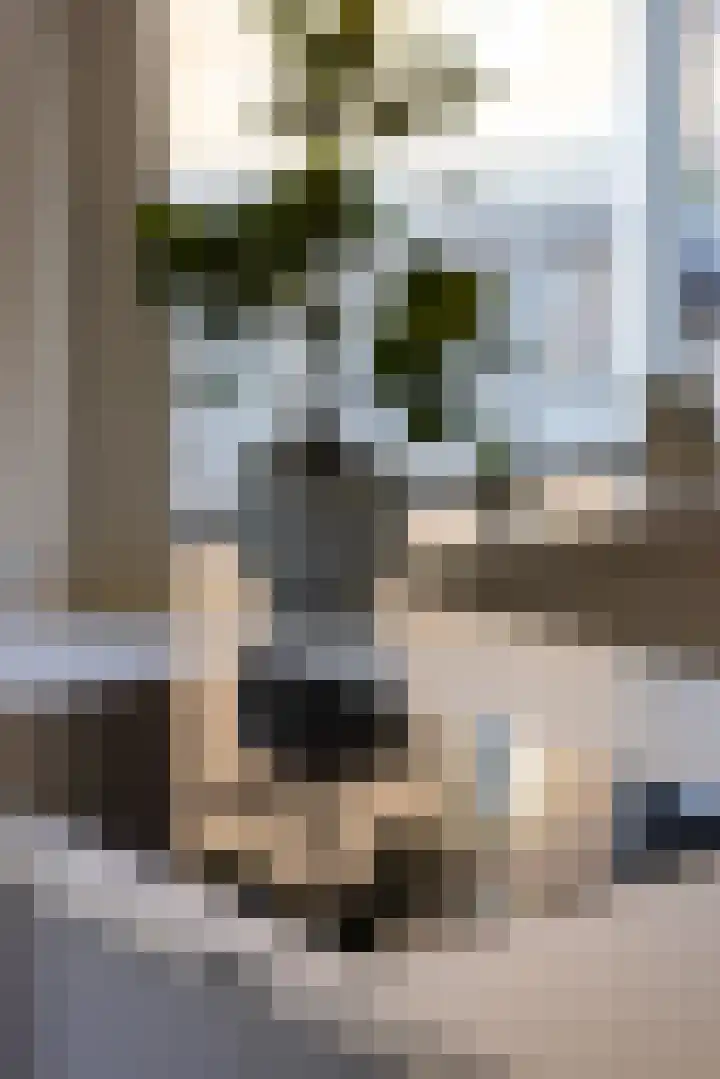 Halstraat 8 C Rotterdam thumbnail 12