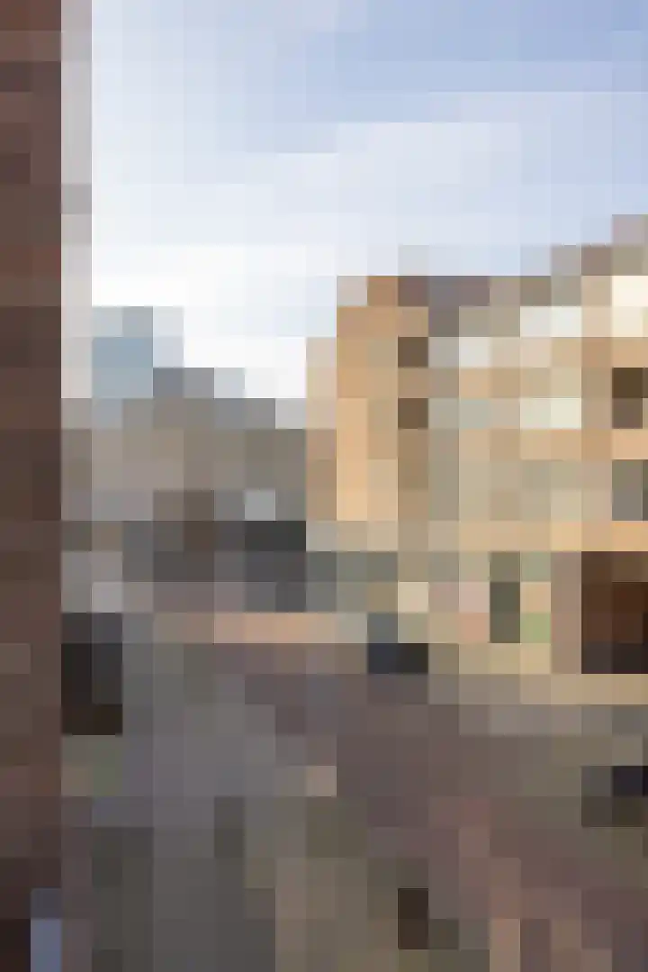 Halstraat 8 C Rotterdam thumbnail 16