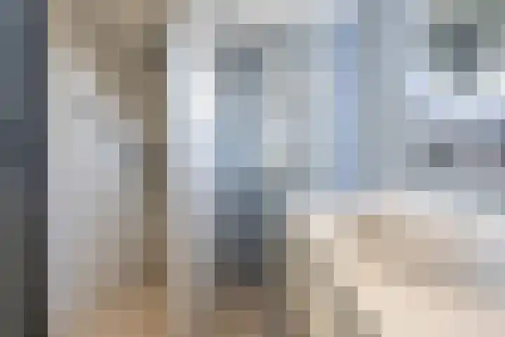 Halstraat 8 C Rotterdam thumbnail 24