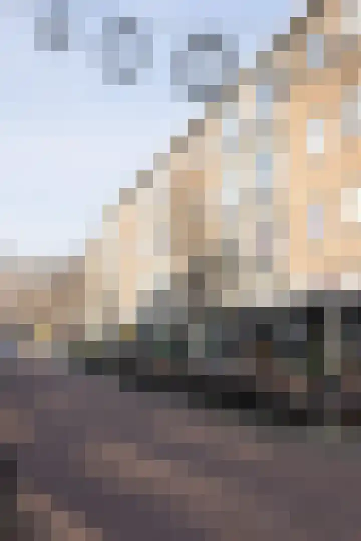 Halstraat 8 C Rotterdam thumbnail 26