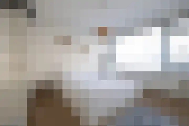 Halstraat 8 C Rotterdam thumbnail 4