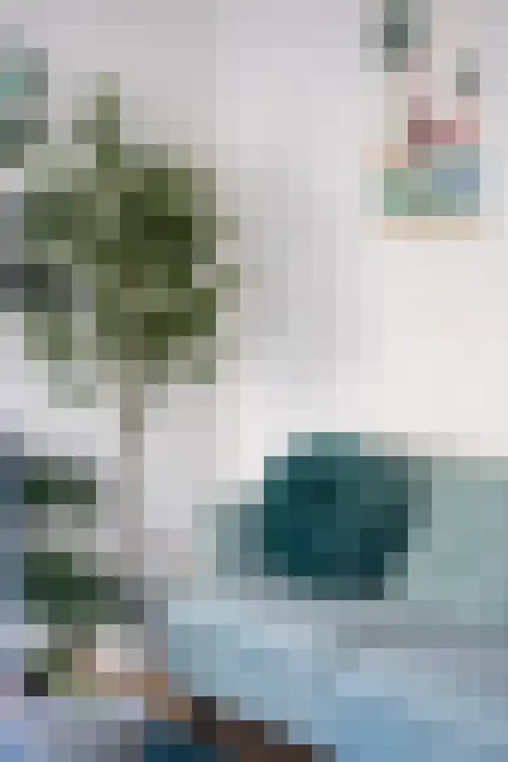 Halstraat 8 C Rotterdam thumbnail 7