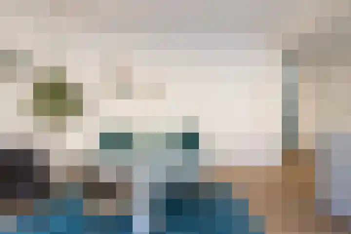 Halstraat 8 C Rotterdam thumbnail 8