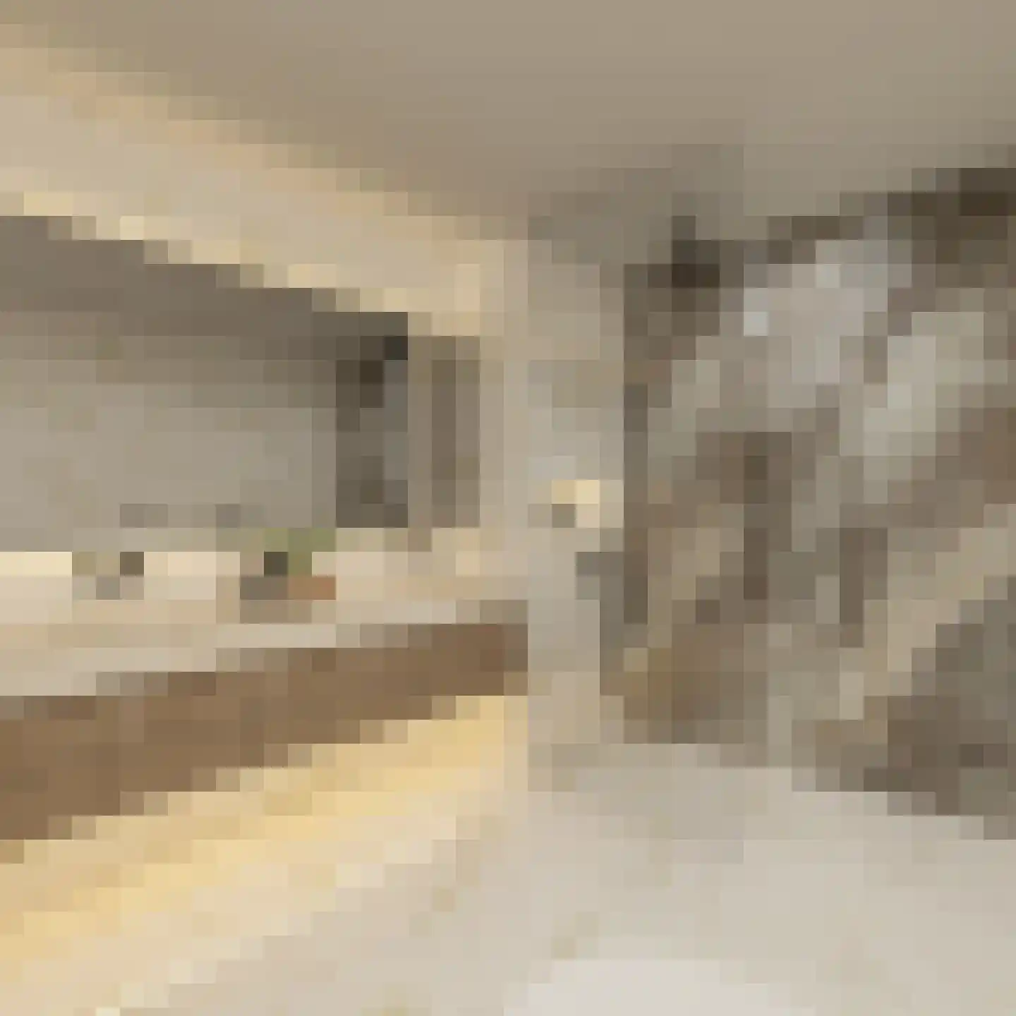 Halterstraat 12 Zutphen thumbnail 10