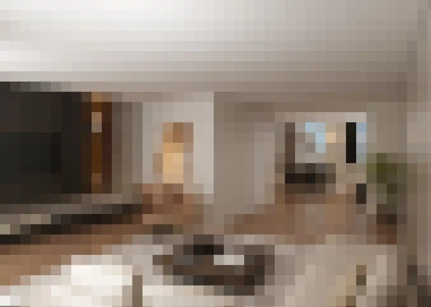 Halterstraat 12 Zutphen thumbnail 7