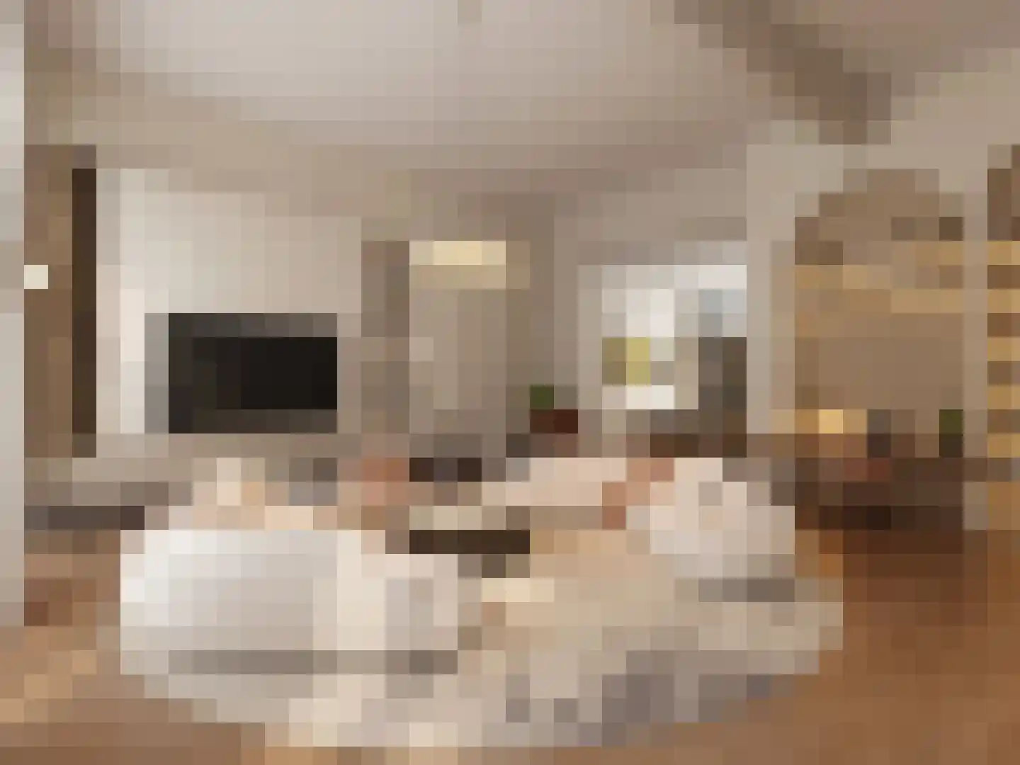 Halterstraat 14 Zutphen thumbnail 7
