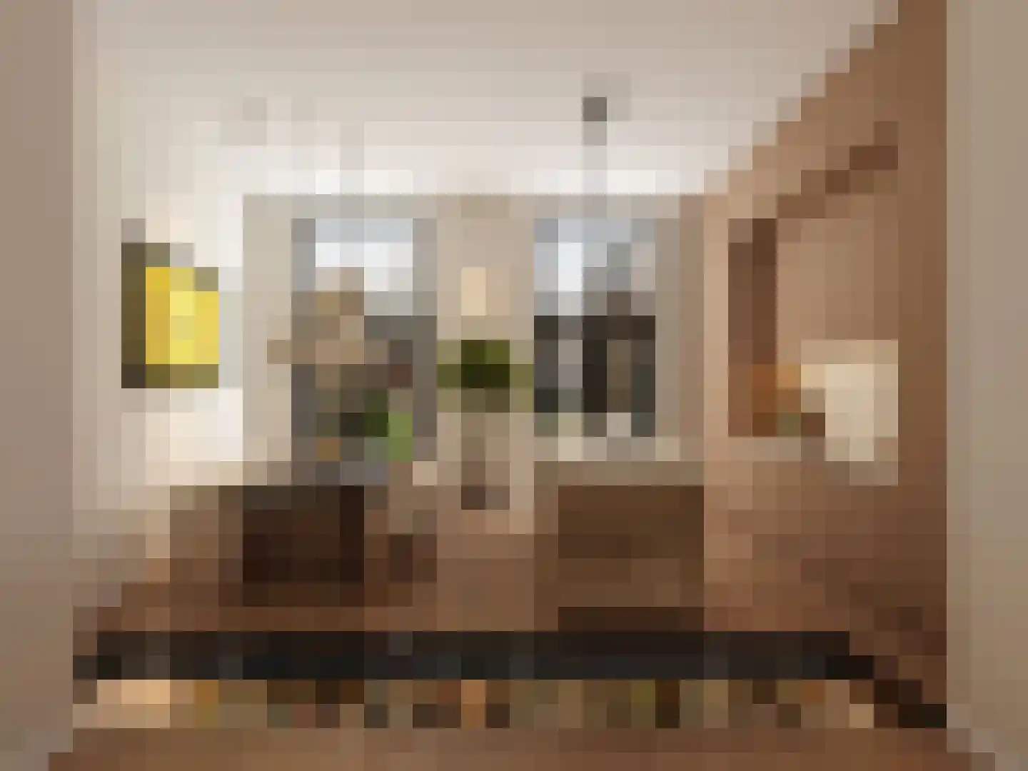 Halterstraat 14 Zutphen thumbnail 8