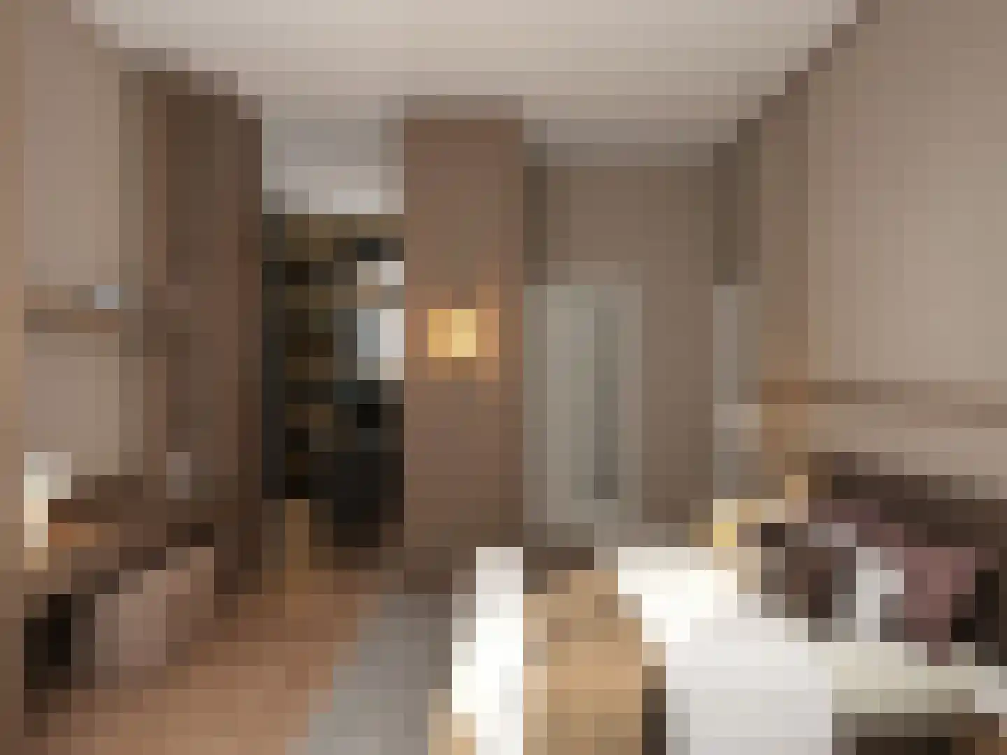 Halterstraat 14 Zutphen thumbnail 9